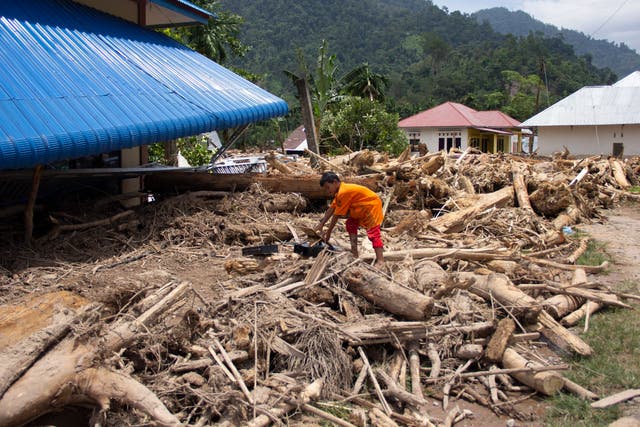 INDONESIA-DEFORESTACIÓN