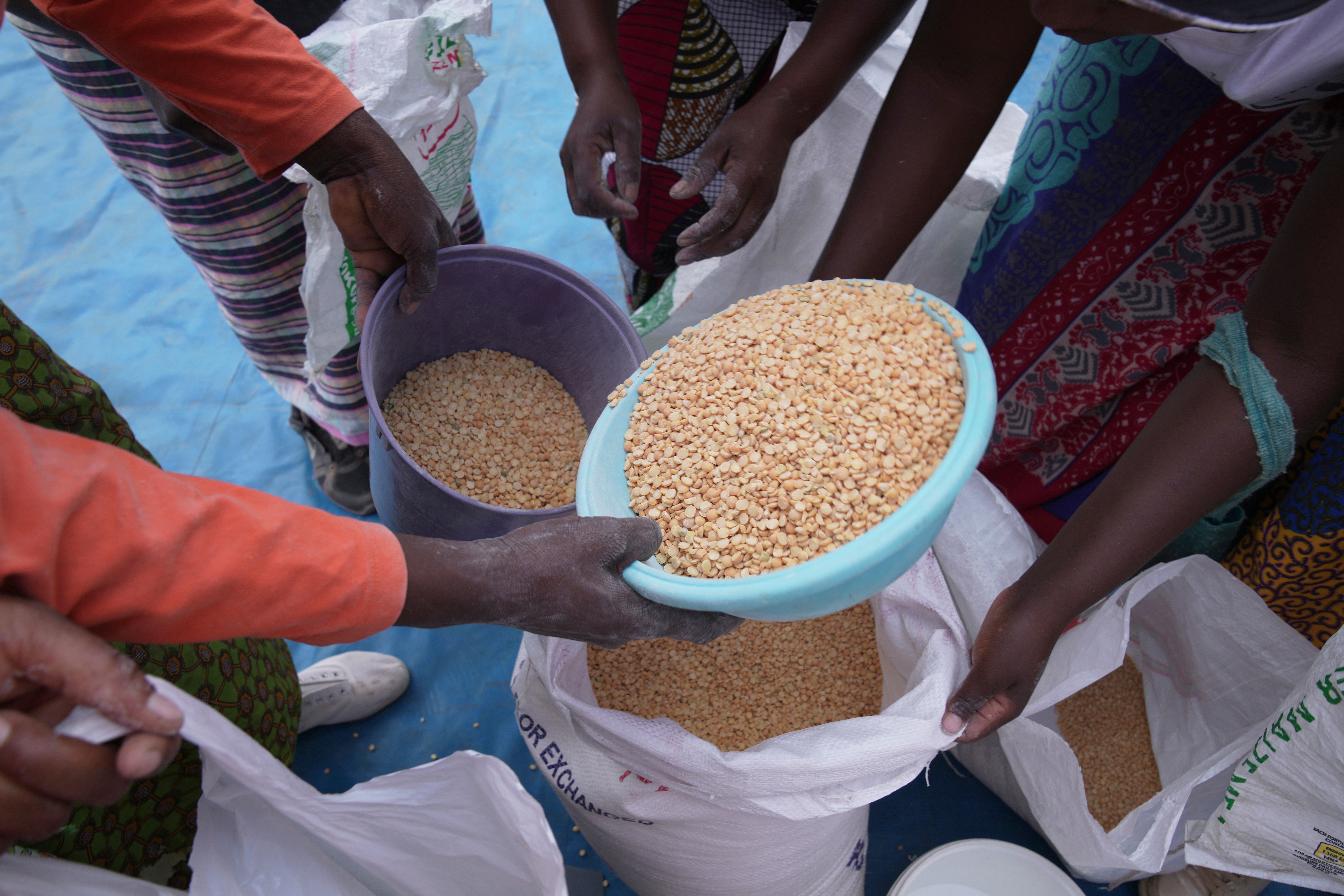 Southern Africa Drought and Hunger