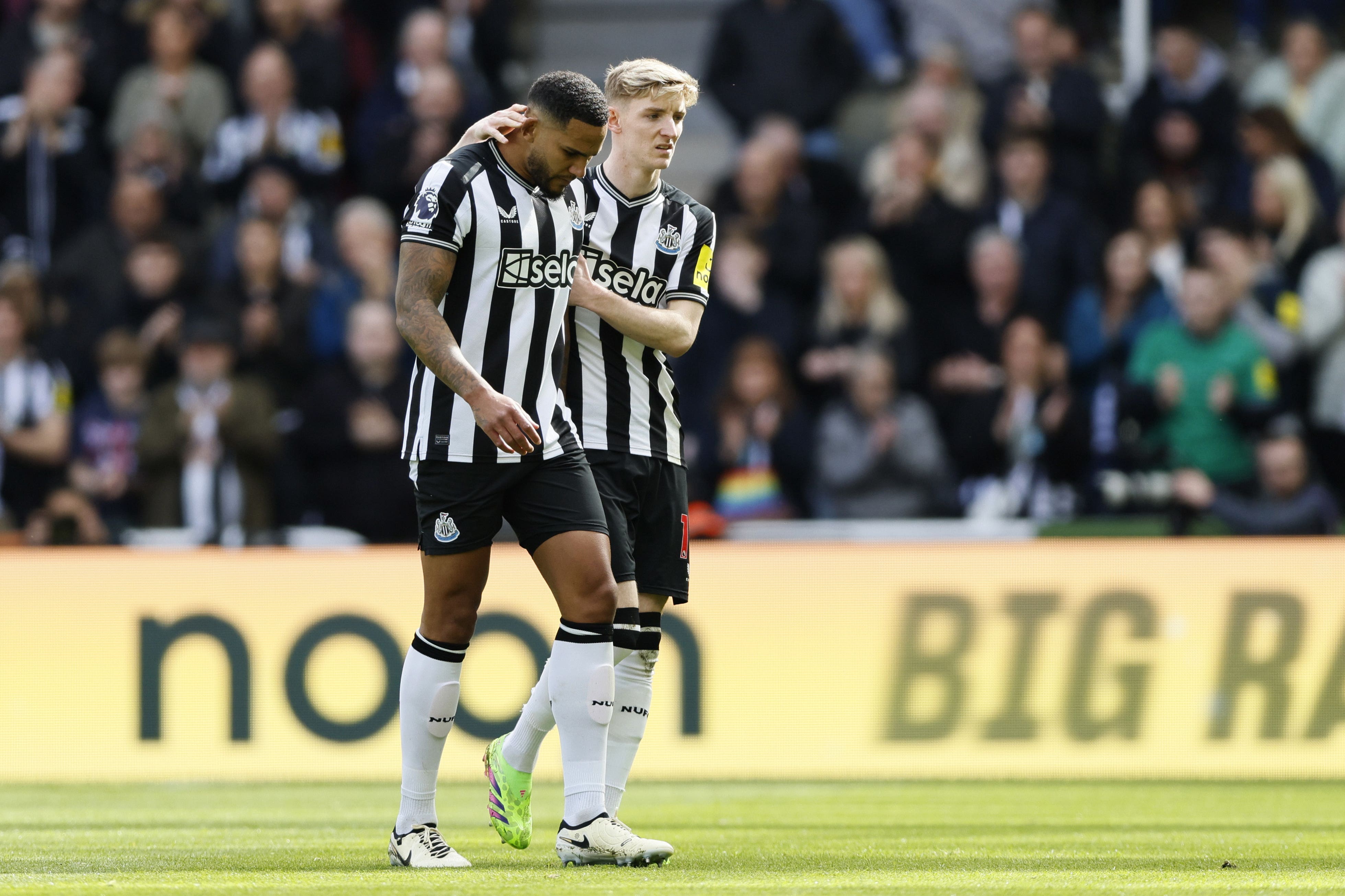 Newcastle captain Jamaal Lascelles is expected to miss six to nine months