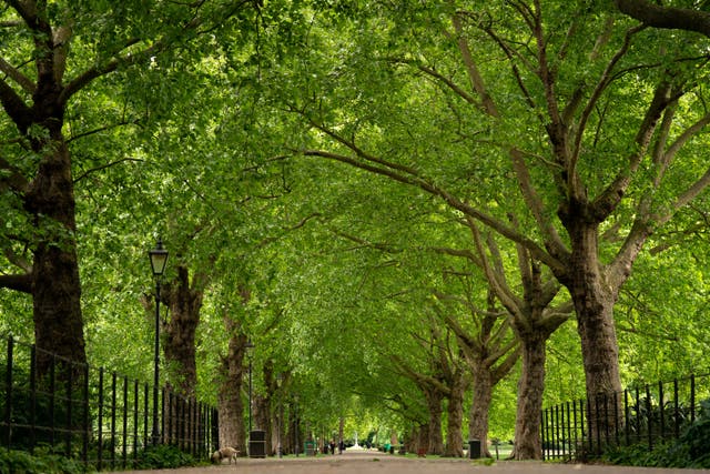 Nearly two-thirds of parents only take their children to green space once a week or less (Aaron Chown/PA)