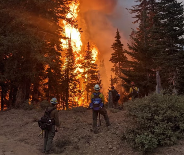 Wildland firefighting 