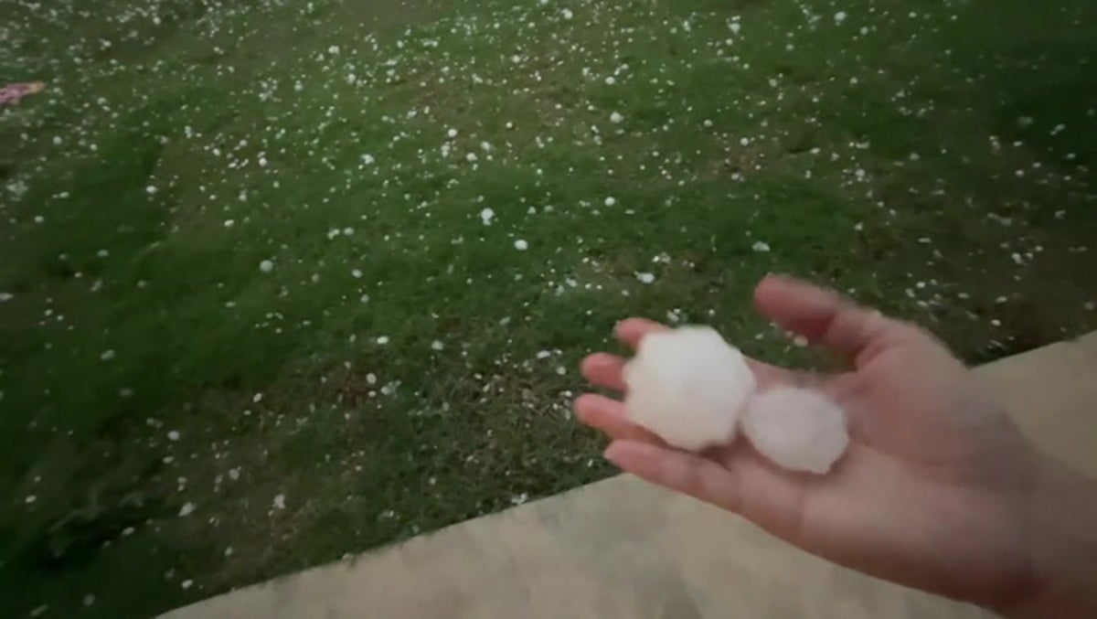 Tennis ball-sized hail lands in Texas garden as powerful storms sweep across state