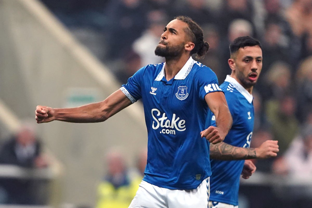 Dominic Calvert-Lewin ends goal drought as Everton handed relegation lifeline at Newcastle