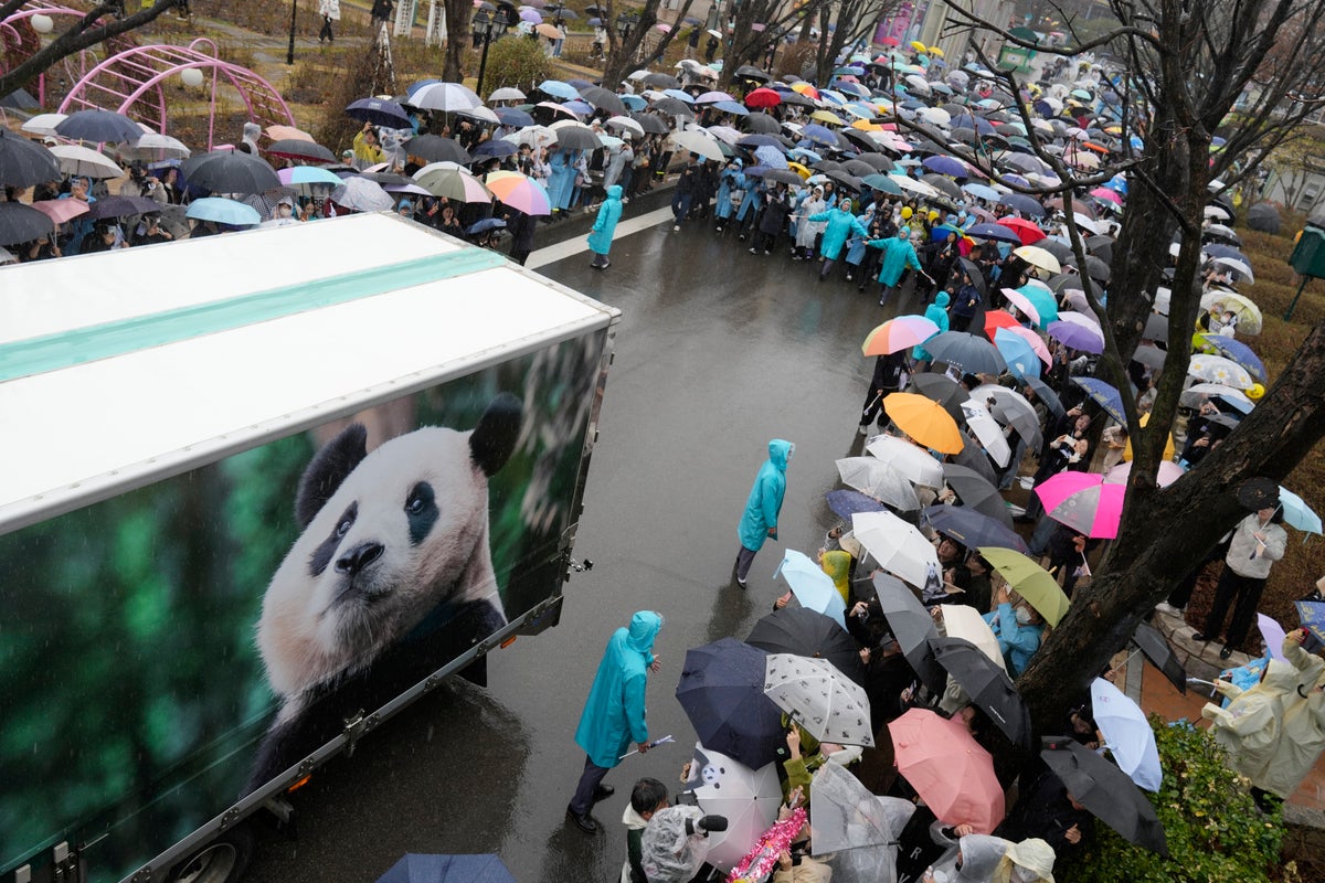 With tears, a crowd of South Koreans bids farewell to beloved panda before her departure to China