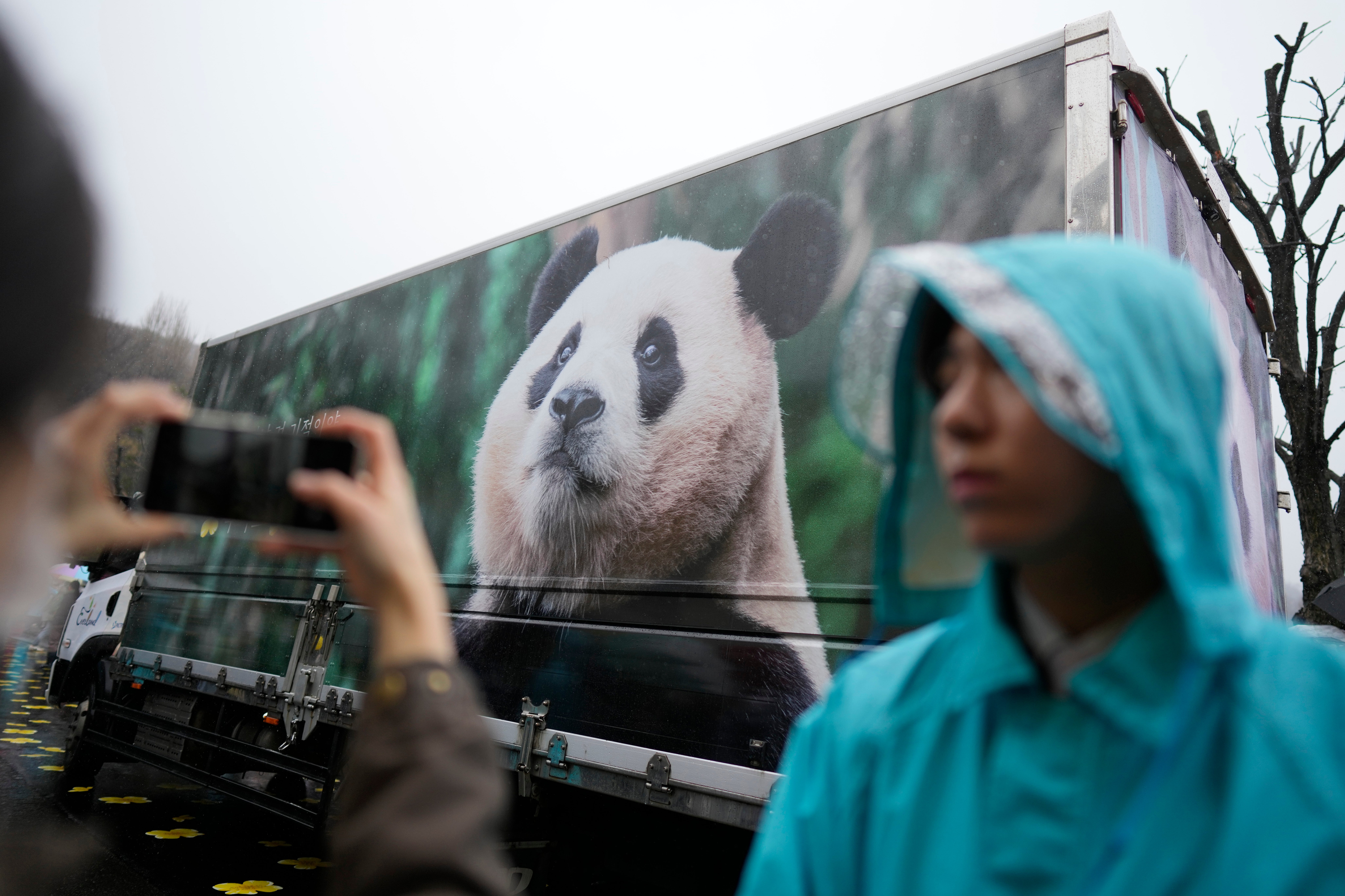 A vehicle carrying Fu Bao, the first giant panda born in South Korea
