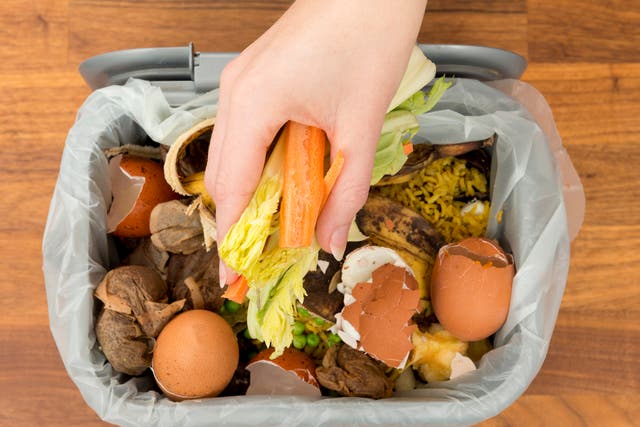 <p>In present day, food waste is presented in secular terms as an affront to environmental sustainability </p>