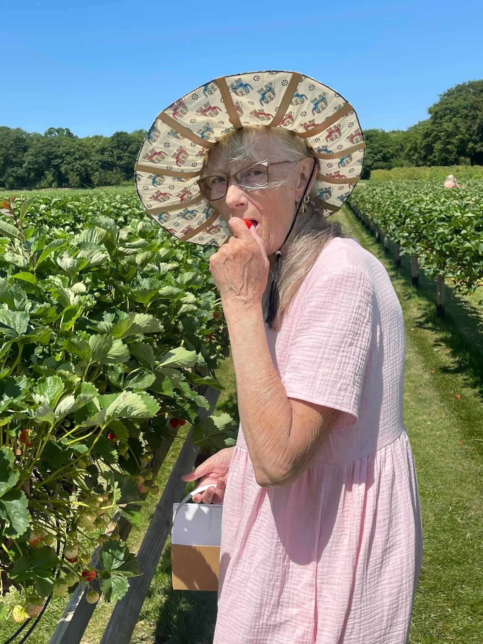 Sharon picking strawberries