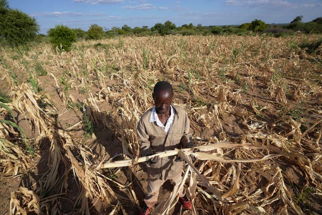 Zimbabwe Drought Disaster