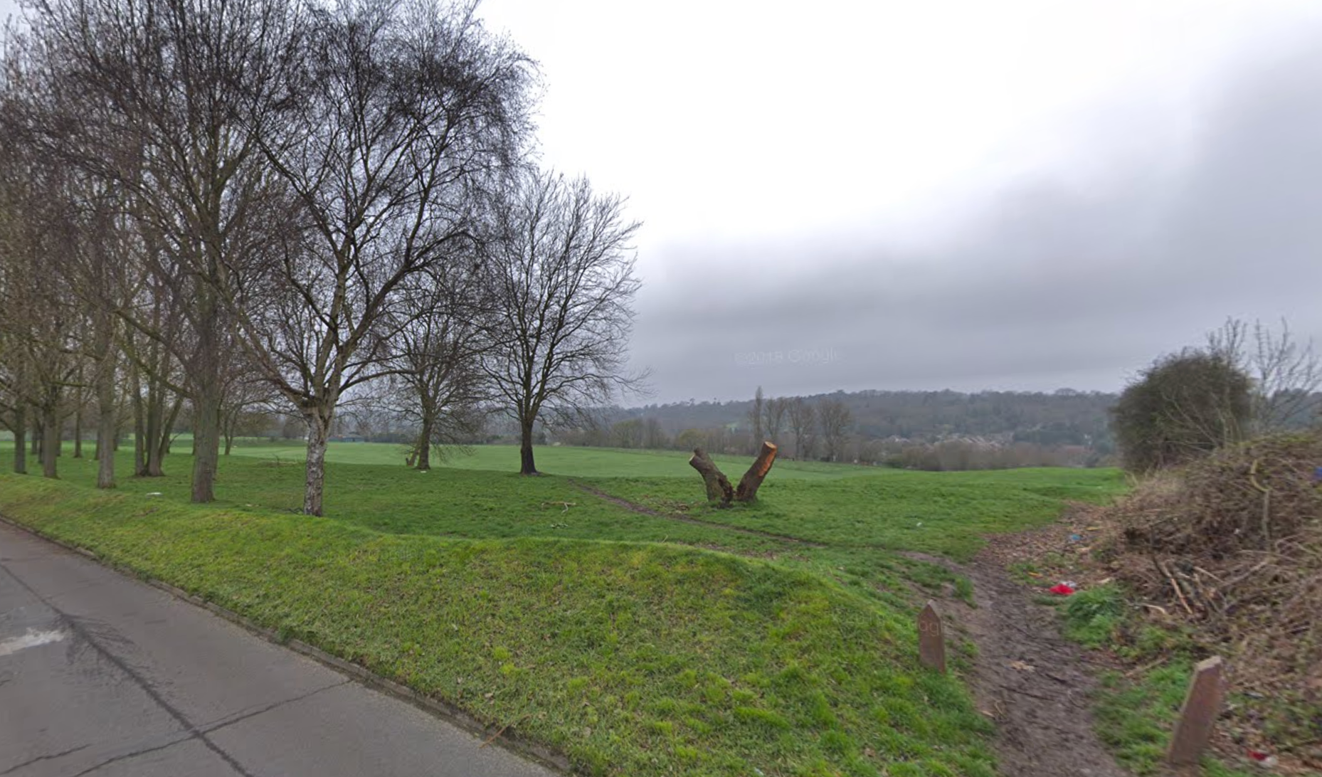Murder investigation launched as human remains found in park in south London - Vimarsana News
