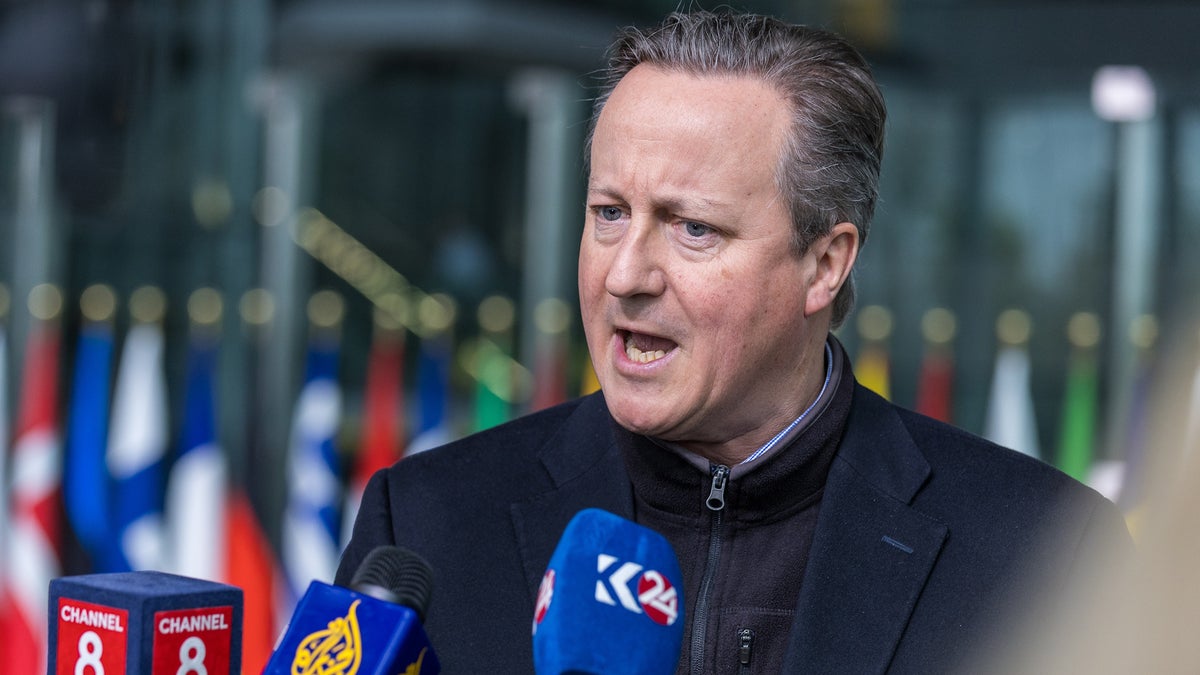 UK should mourn deaths of British aid workers killed in Gaza, says Cameron