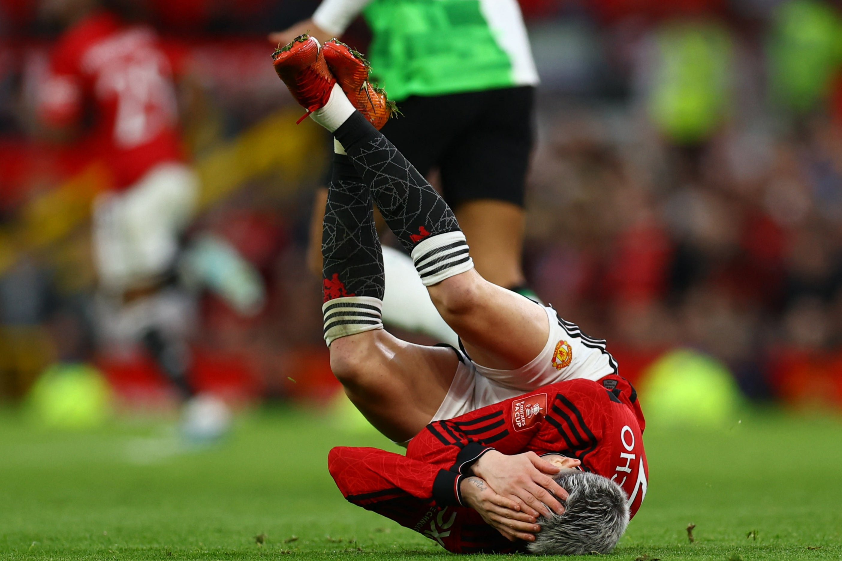 Manchester United have been bitten by the injury bug