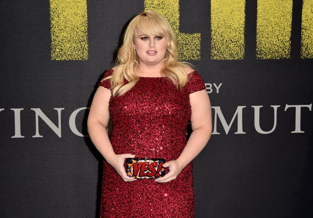 <p>Rebel Wilson attends premiere of Pitch Perfect 3 in 2017</p>