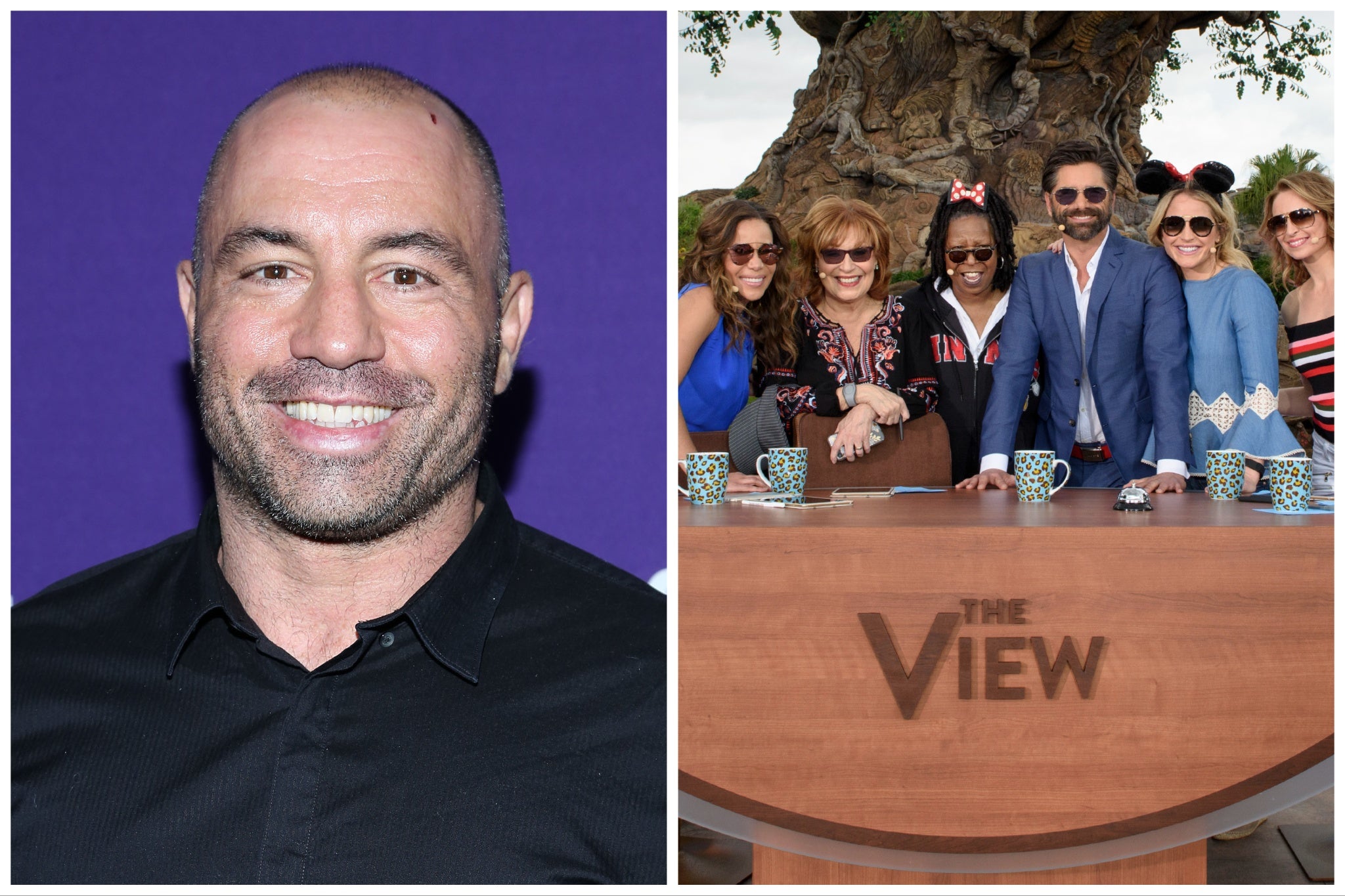 Joe Rogan attacks The View as 'rabies-infested hen house' | The Independent
