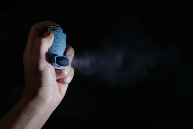 Researchers suggest the answer to stopping asthma symptoms may lie in cell extrusion, a process they discovered that drives most epithelial cell death (Yui Mok/PA)