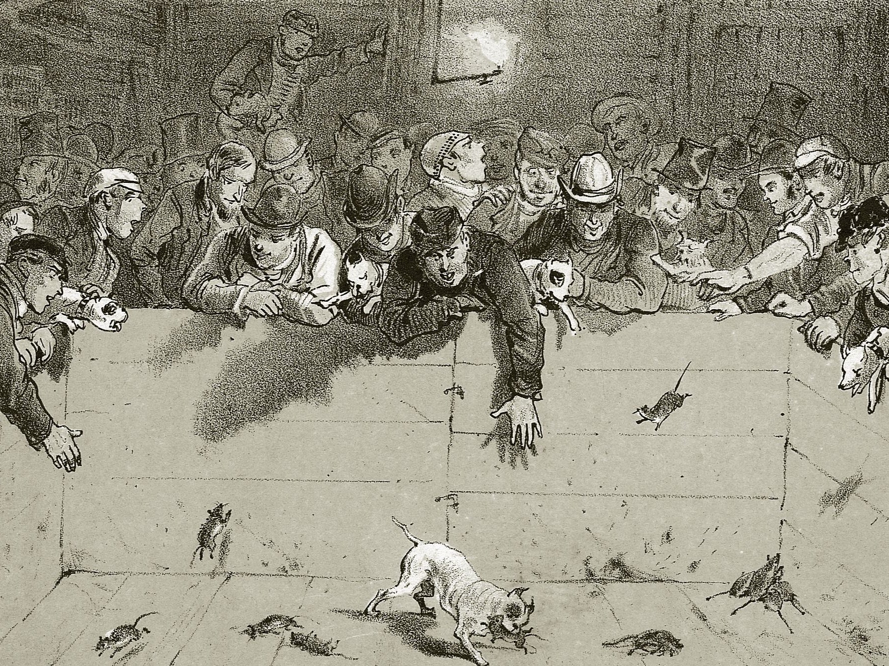 Spectators at the Turnspit in Quaker’s Alley watching a dog catching rats in a pit, circa 1875