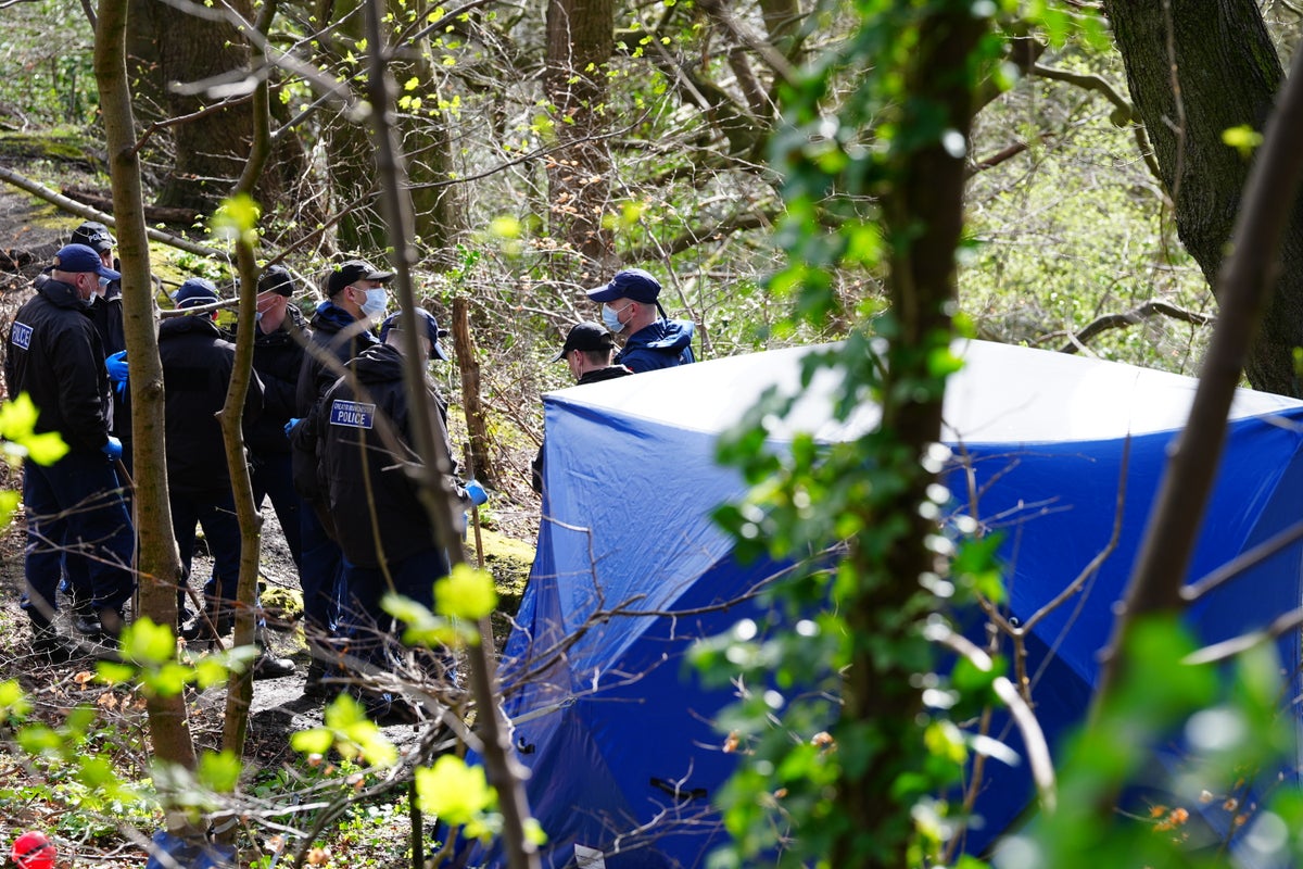 Police search for other body parts after human torso discovered in Manchester nature reserve