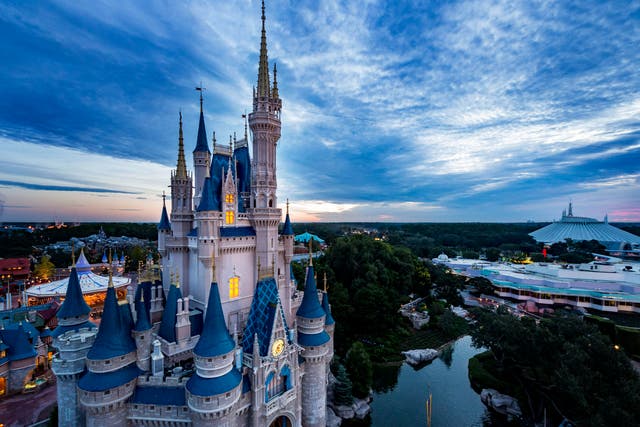 <p>If Disney is to find a corporate happily ever after, it needs to find a new protagonist</p>