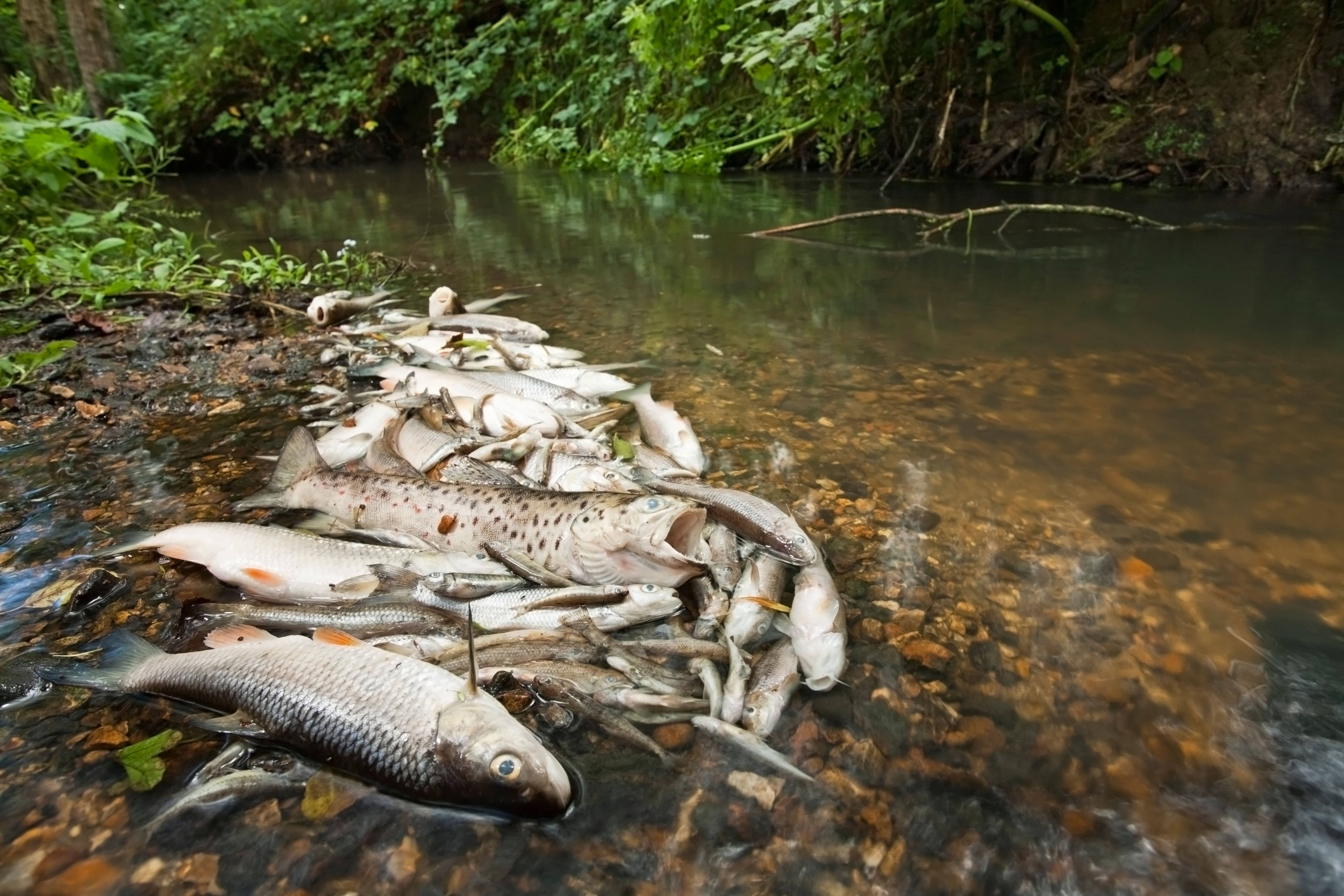 The Lib Dems used freedom of information to reveal hospitality received by the water regulator (Alamy/PA)