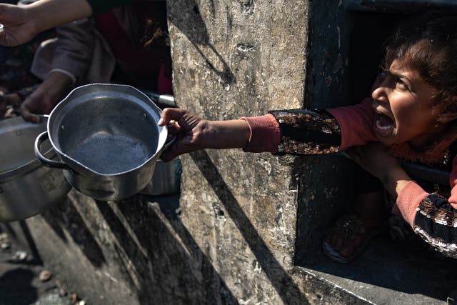 <p>A displaced Palestinian child holds up an empty pot as she waits with others to receive food aid</p>