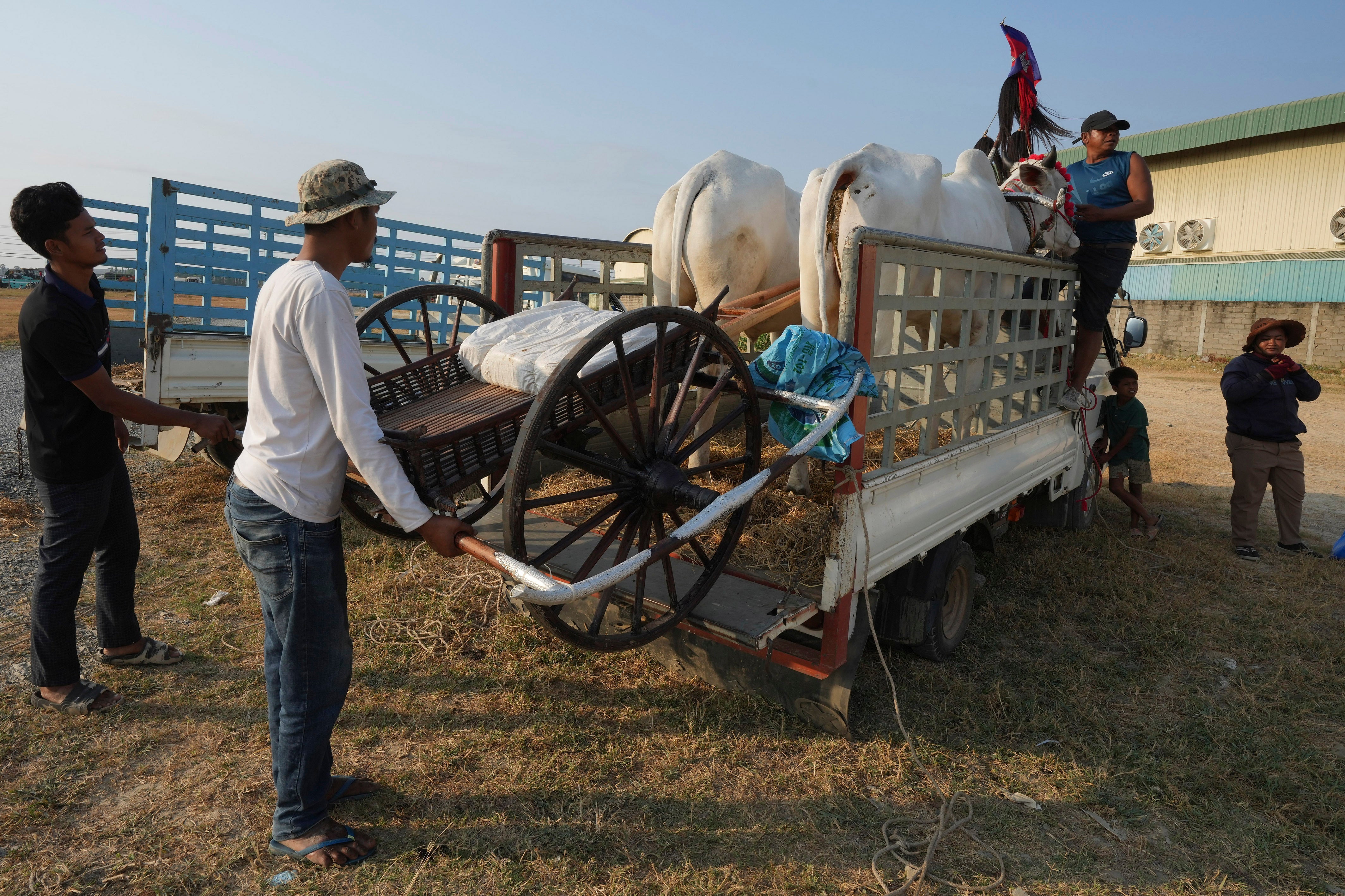 Cambodia Oxcart Photo Gallery
