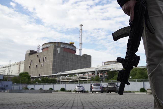 <p>A security person standing in front of the Zaporizhzhia Nuclear Power Plant in Enerhodar (Energodar), Zaporizhzhia oblast in Ukraine</p>