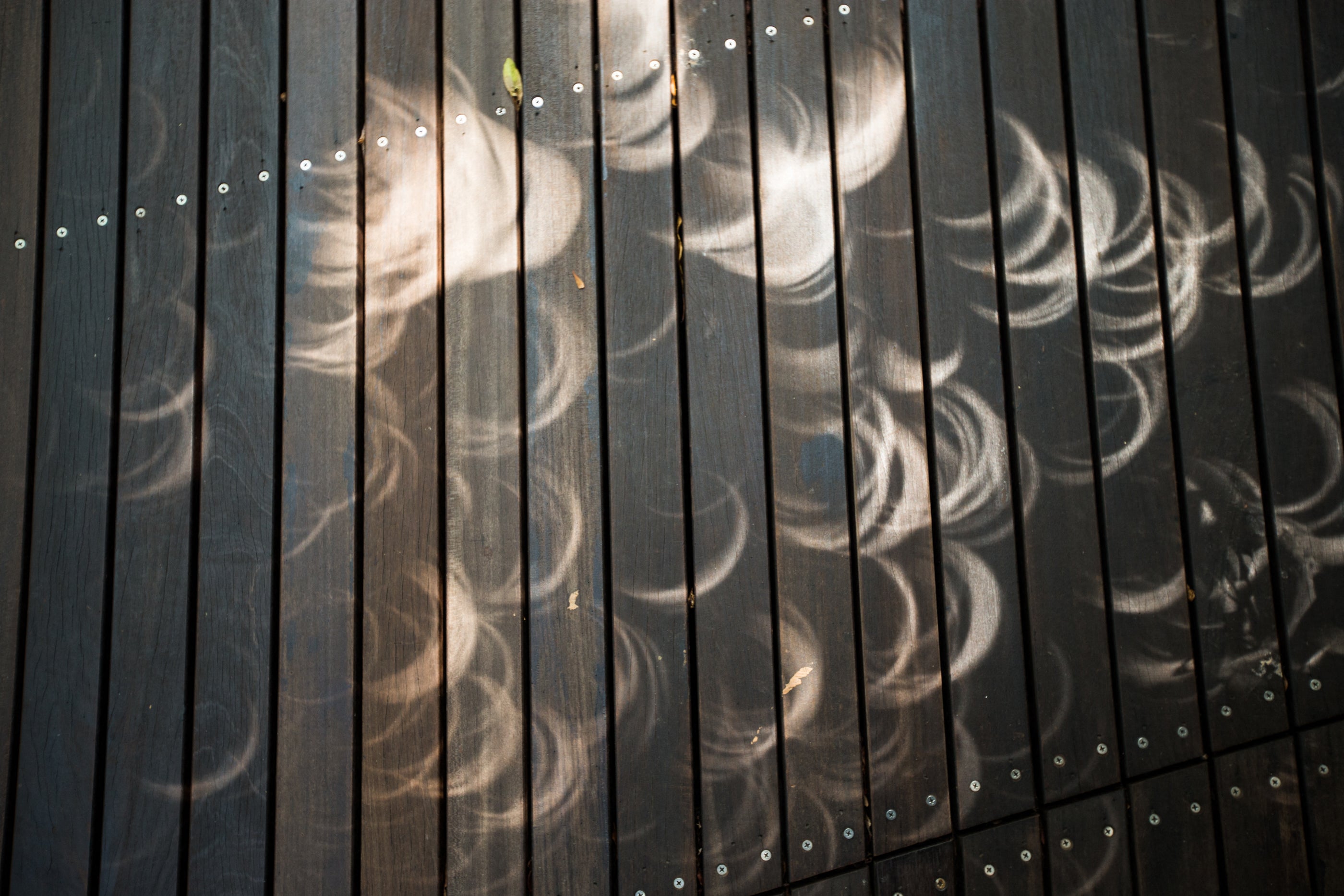 <p>Shadows form on the ground as the moon moves in front of the sun in a rare ‘ring of fire’ solar eclipse </p>