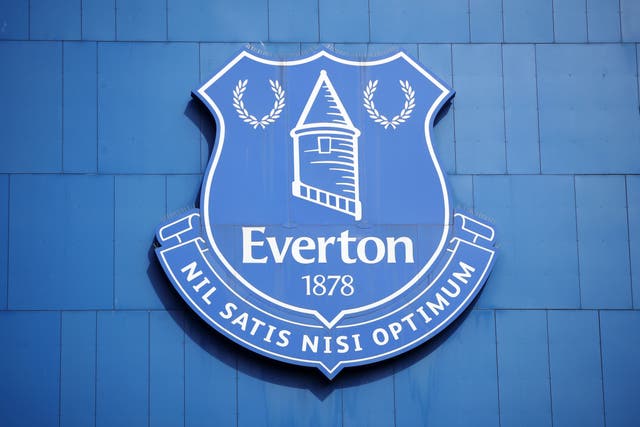 <p>Everton are appealing against their two-point deduction </p>