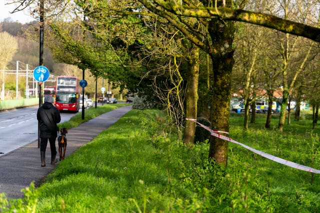 First picture of woman after remains found in Croydon park | The ...