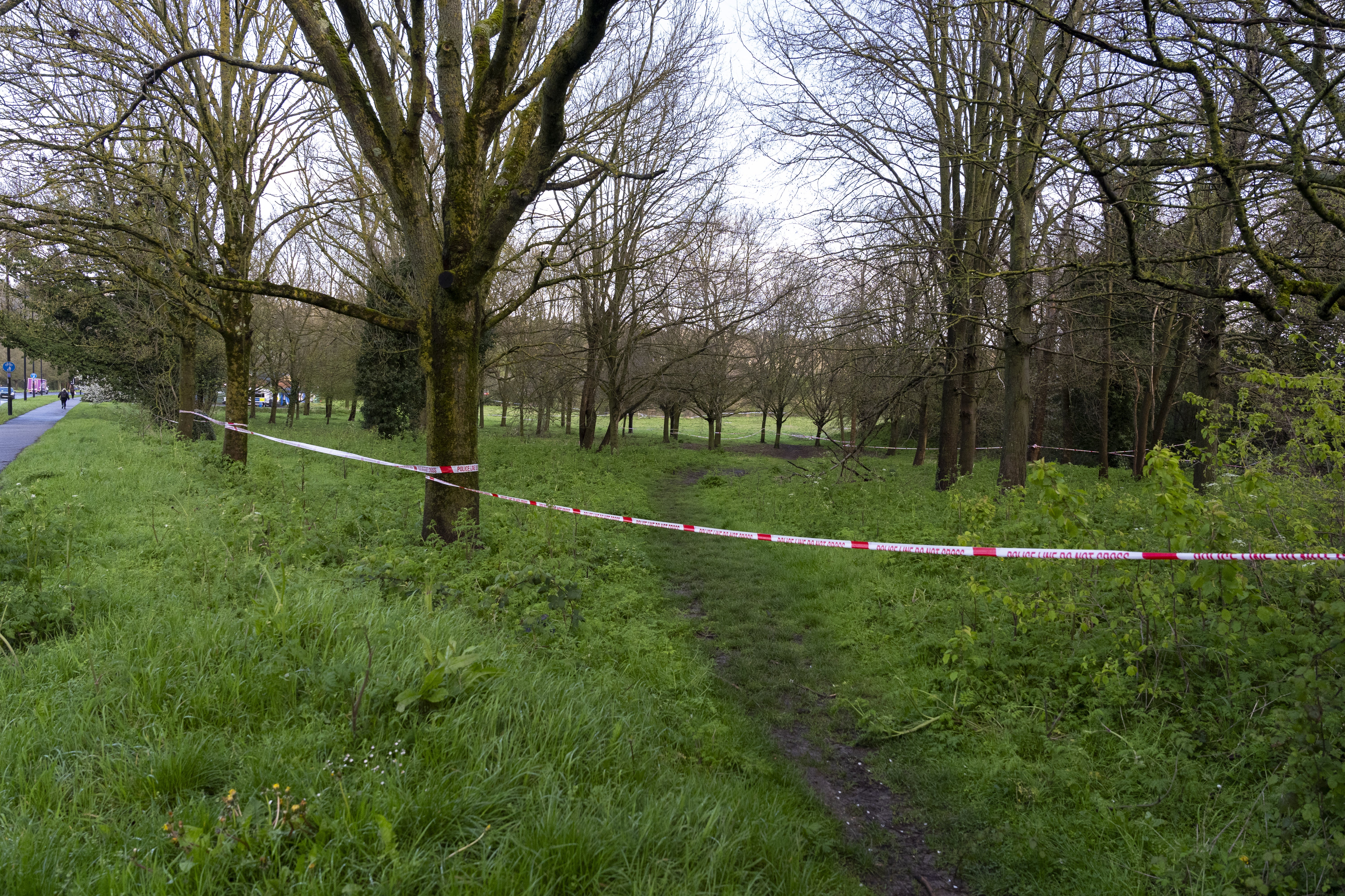 Rowdown Fields, a park in Croydon, south London where human remains were found