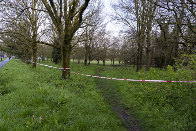 <p>Rowdown Fields, a park in Croydon, south London where human remains were found</p>