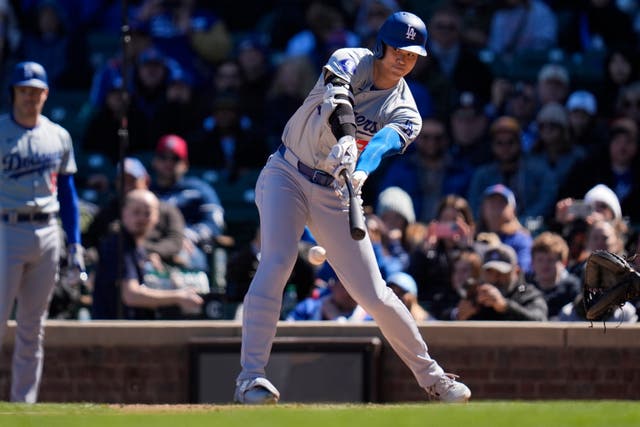 DODGERS CACHORROS