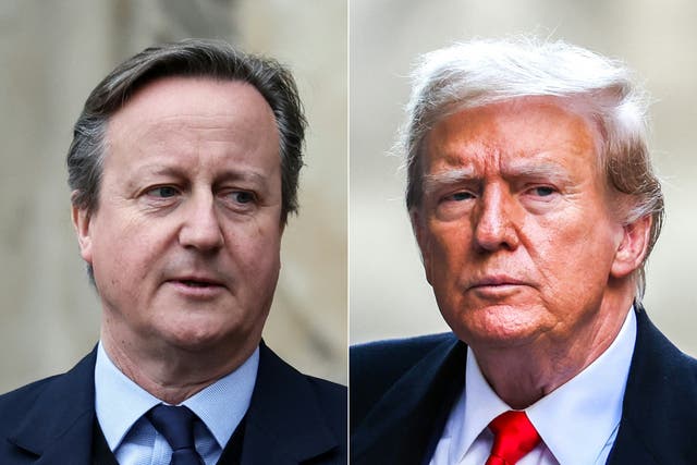 <p>David Cameron meets former US president Donald Trump in the US on Monday </p>