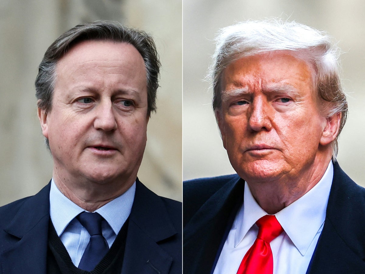 David Cameron holds talks with Donald Trump in Mar-a-Lago surprise meeting