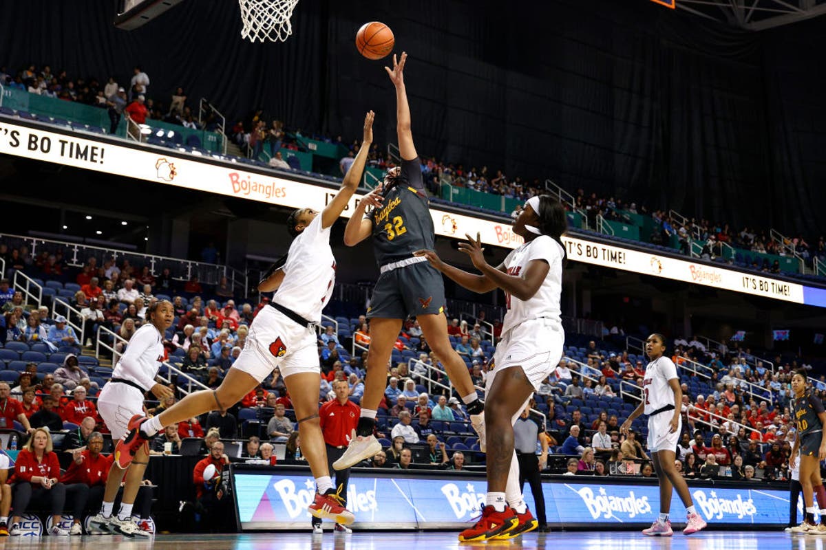 US college organisation bans transgender athletes from competing in all women&rsquo;s sports