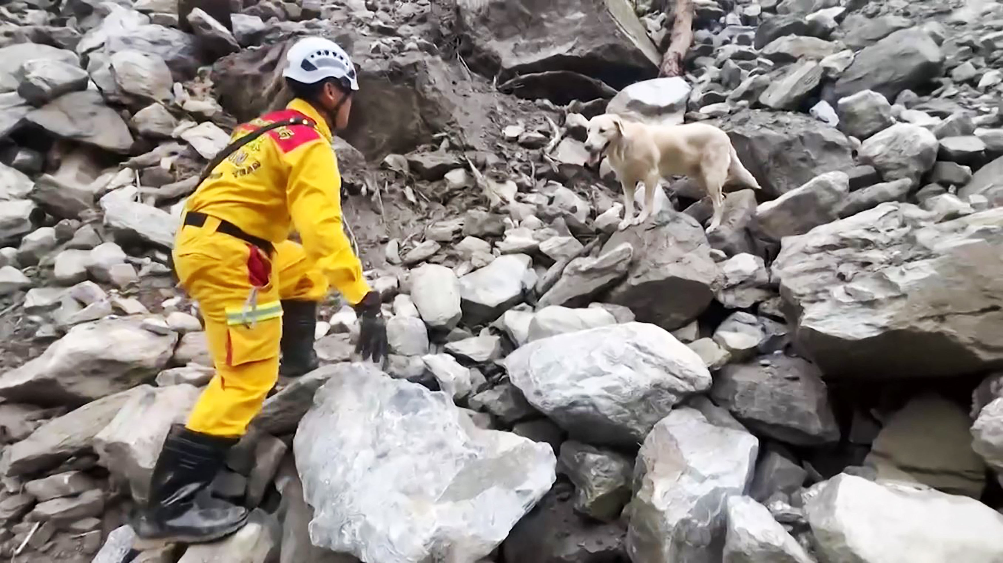 A rescuer locating the body of an earthquake victim with the help of Roger
