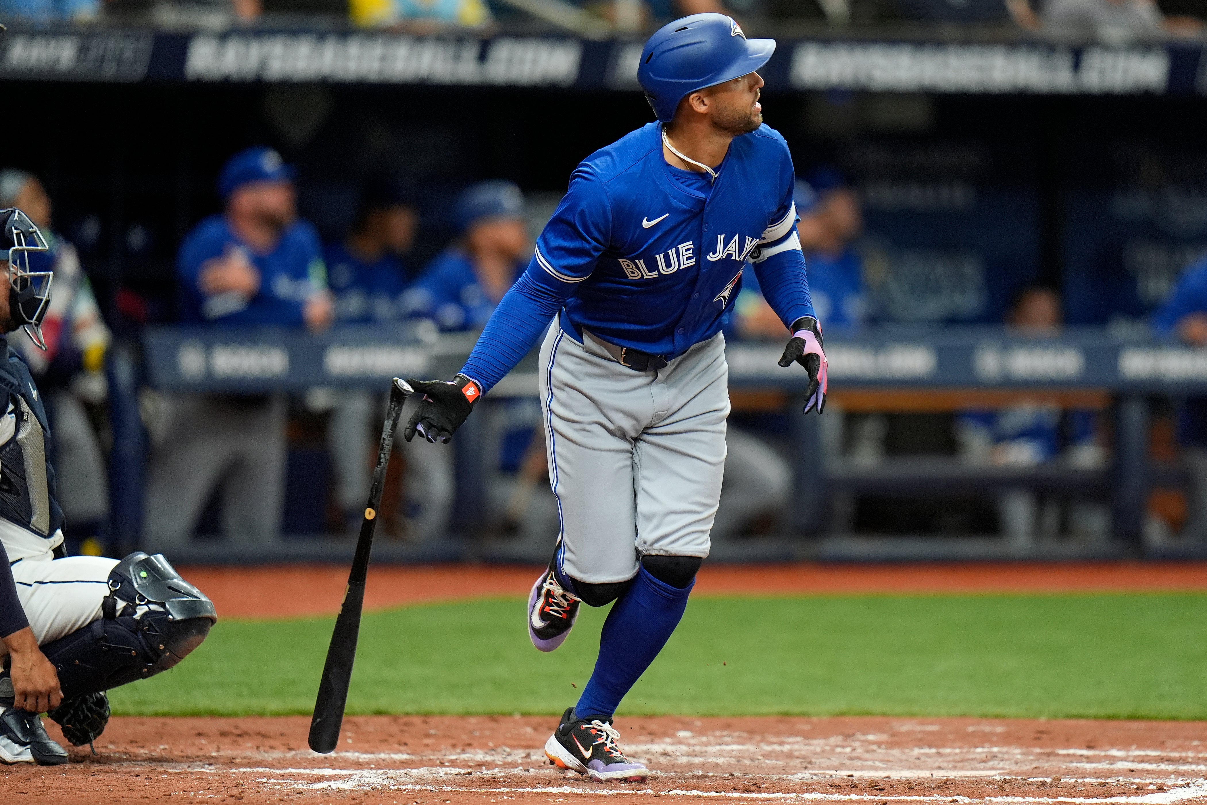 Blue Jays Rays Baseball