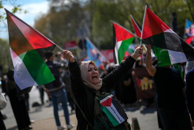 <p>A Turkish woman waves flags in support of Palestinians in Gaza during a protest in Istanbul on 5 April 2024</p>