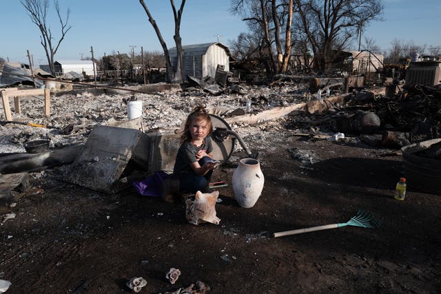 <p>Aurora Champion does her part as her parents help a friend whose home was destroyed by the Smokehouse Creek fire on 3rd March 2024 in Stinnett, Texas</p>