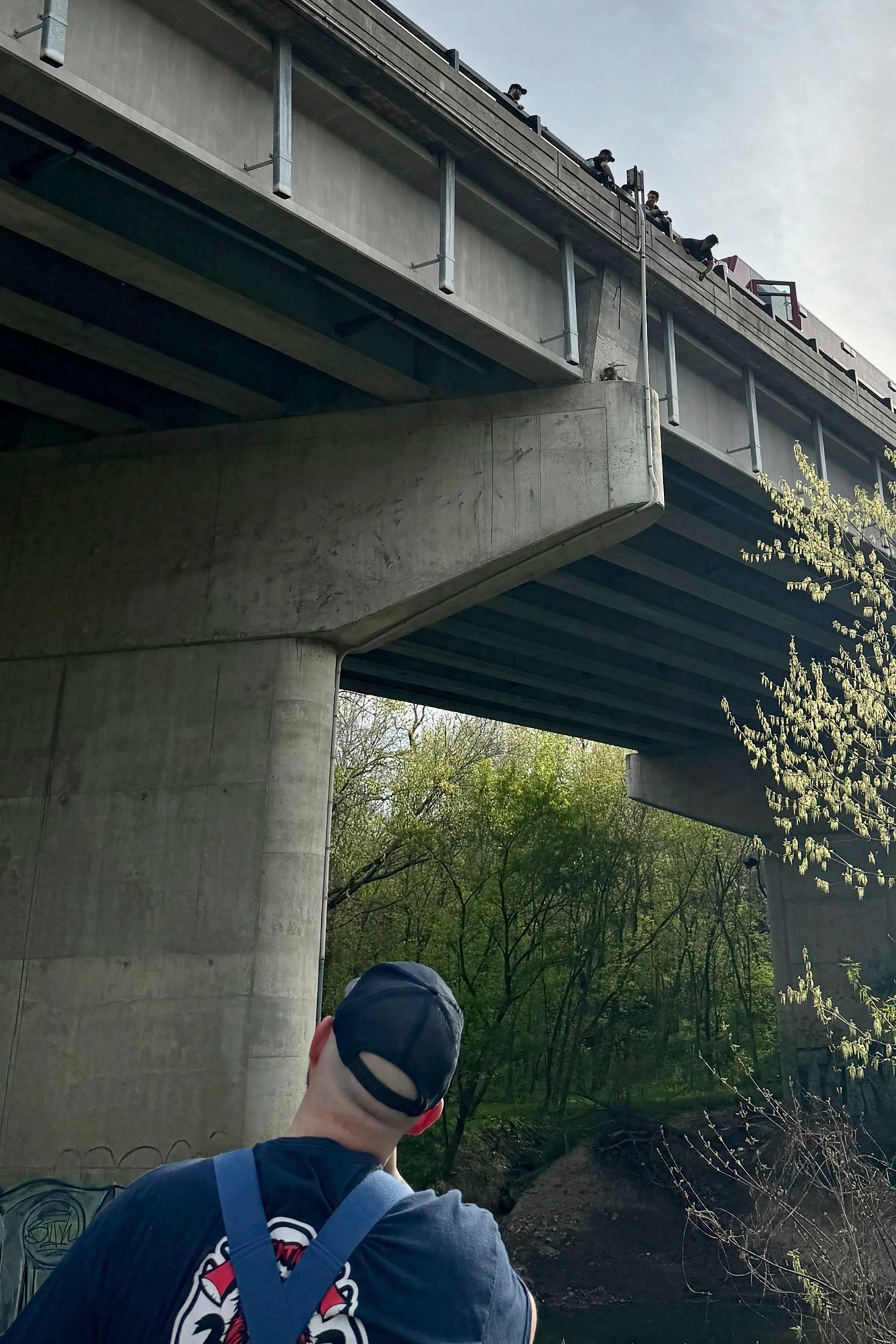 Mountain Goat Rescue