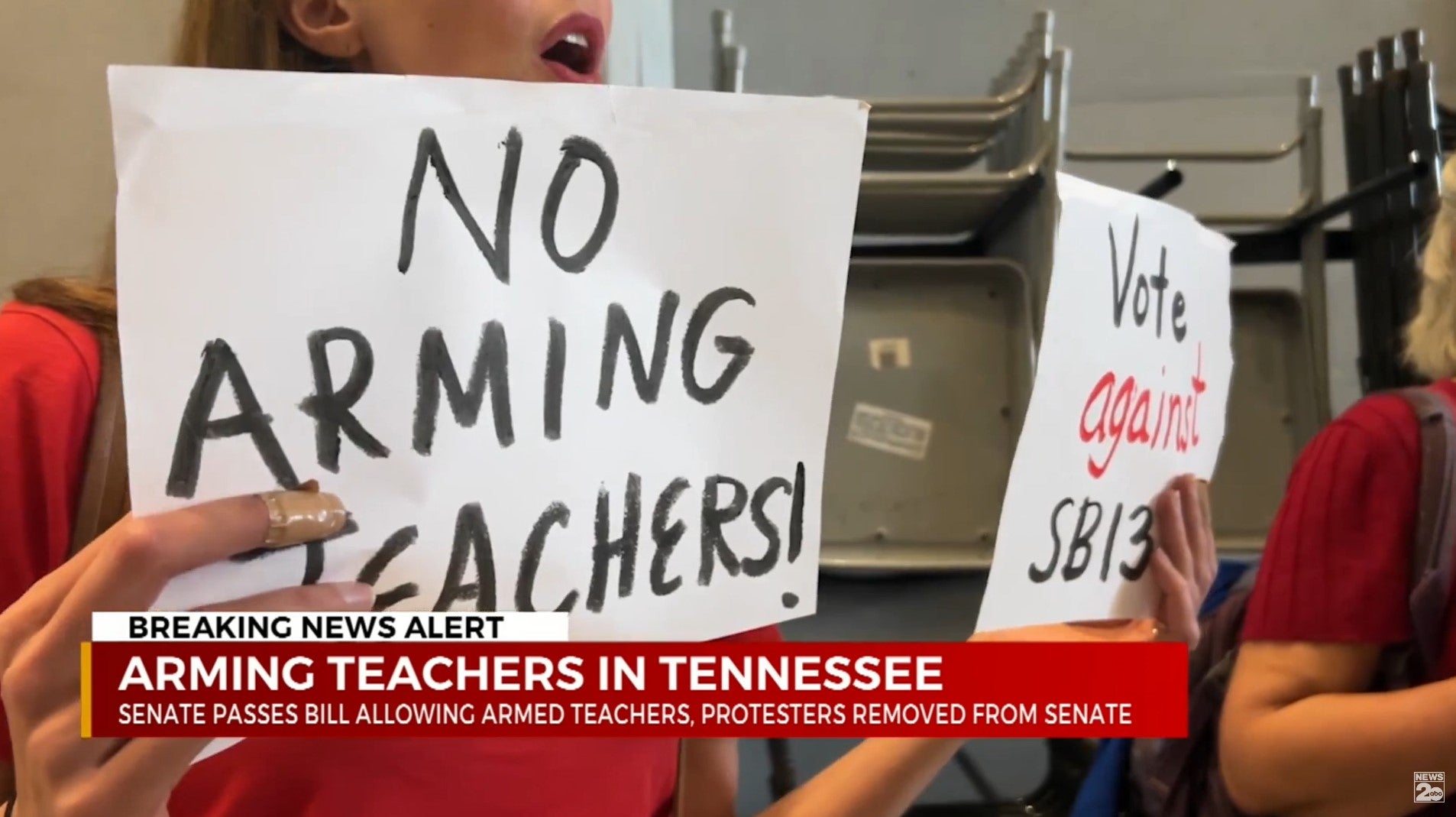 Parents and gun safety protestors voiced their anger inside Tennessee’s Senate chamber
