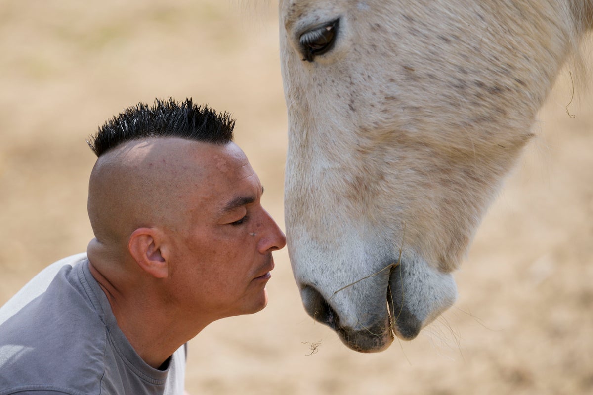 Serbia’s only horse sanctuary has cared for dozens of tortured, old and neglected animals