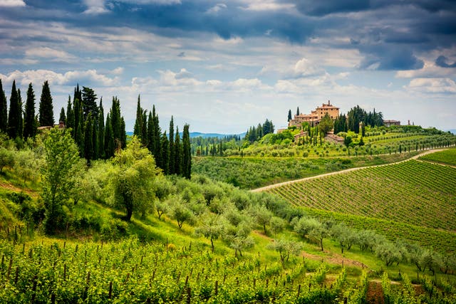 <p>Tuscany is famous for its rolling green hills </p>
