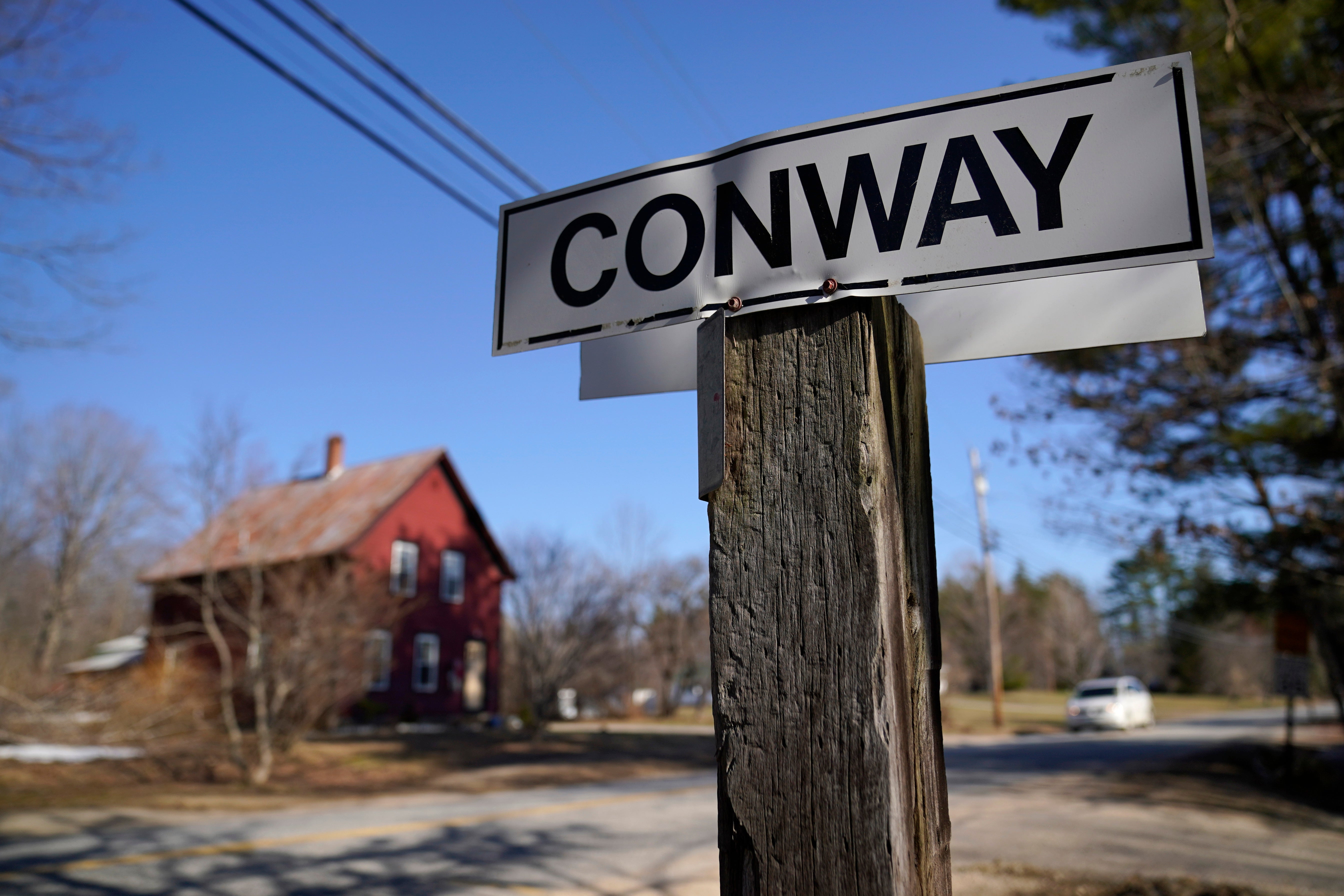 Pastry Painting Free Speech