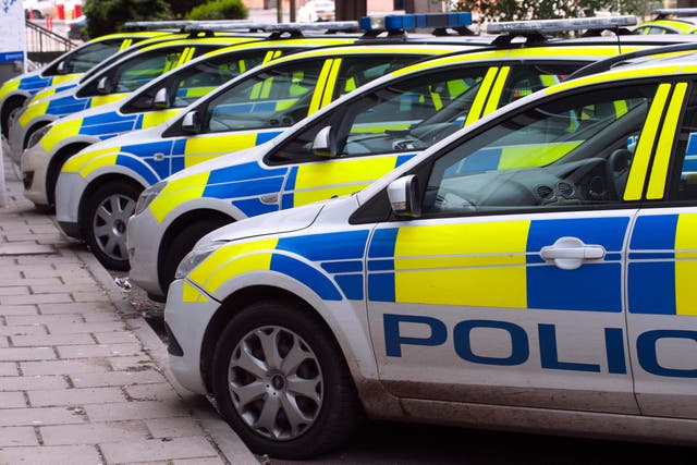 A bird mimicking the sound of a police siren confused officers with its convincing impression (Alamy/PA)