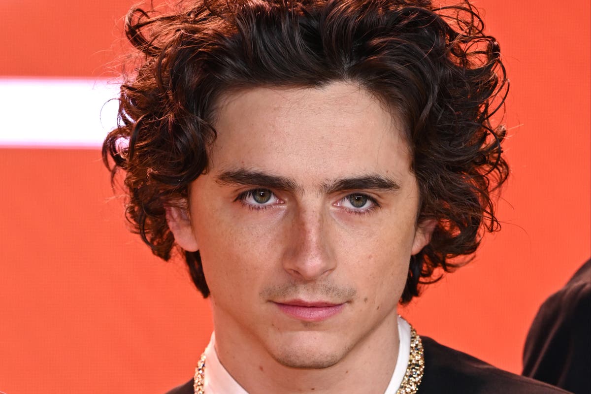 Glasgow Willy Wonka expertise LA organisers make clear Timothee Chalamet won’t be attending