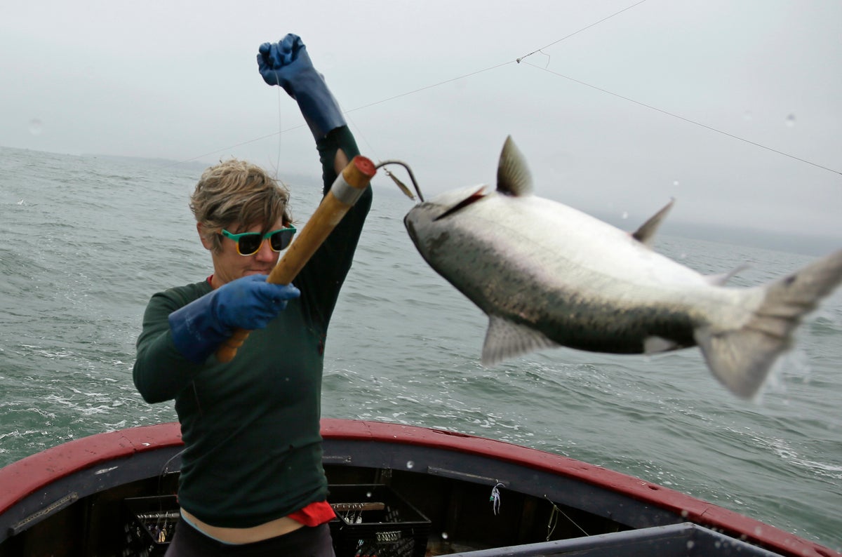 Salmon fishing is banned off the California coast for the second year in a row amid low stocks