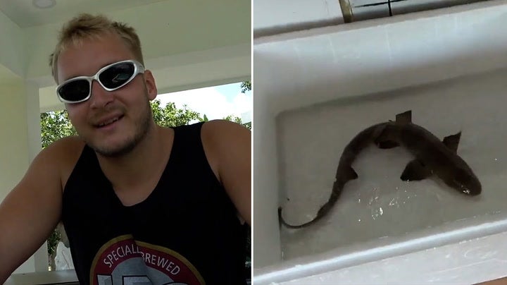 <p>Man buys £15 shark from Thai restaurant to stop it being eaten and releases it into ocean.</p>