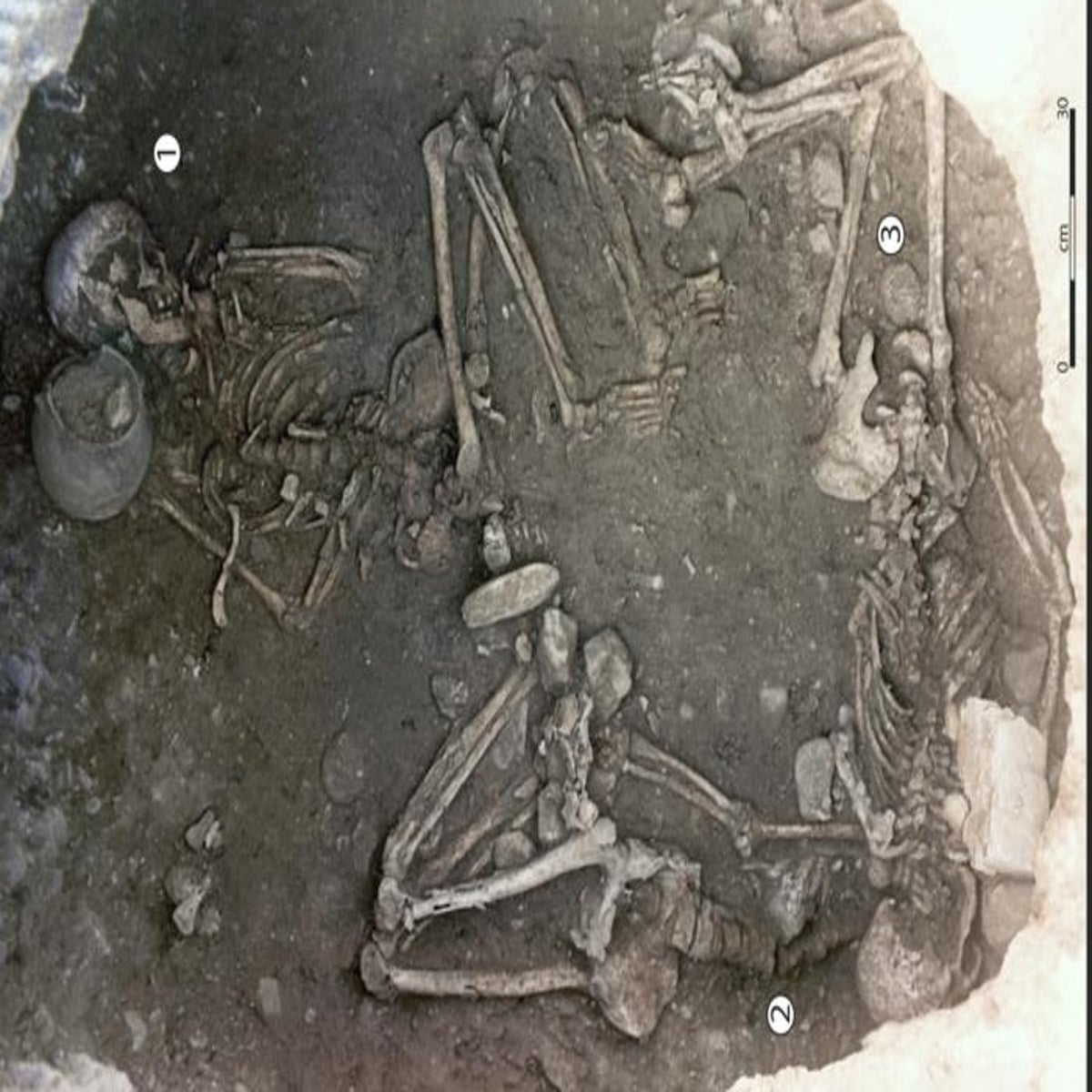 Stone age women in Europe were buried alive with legs tied in ritual  sacrifices | The Independent