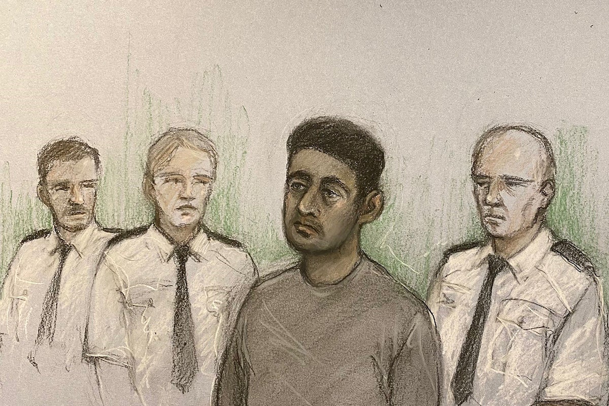 Man appears in court charged with murdering mother as she pushed pram ...