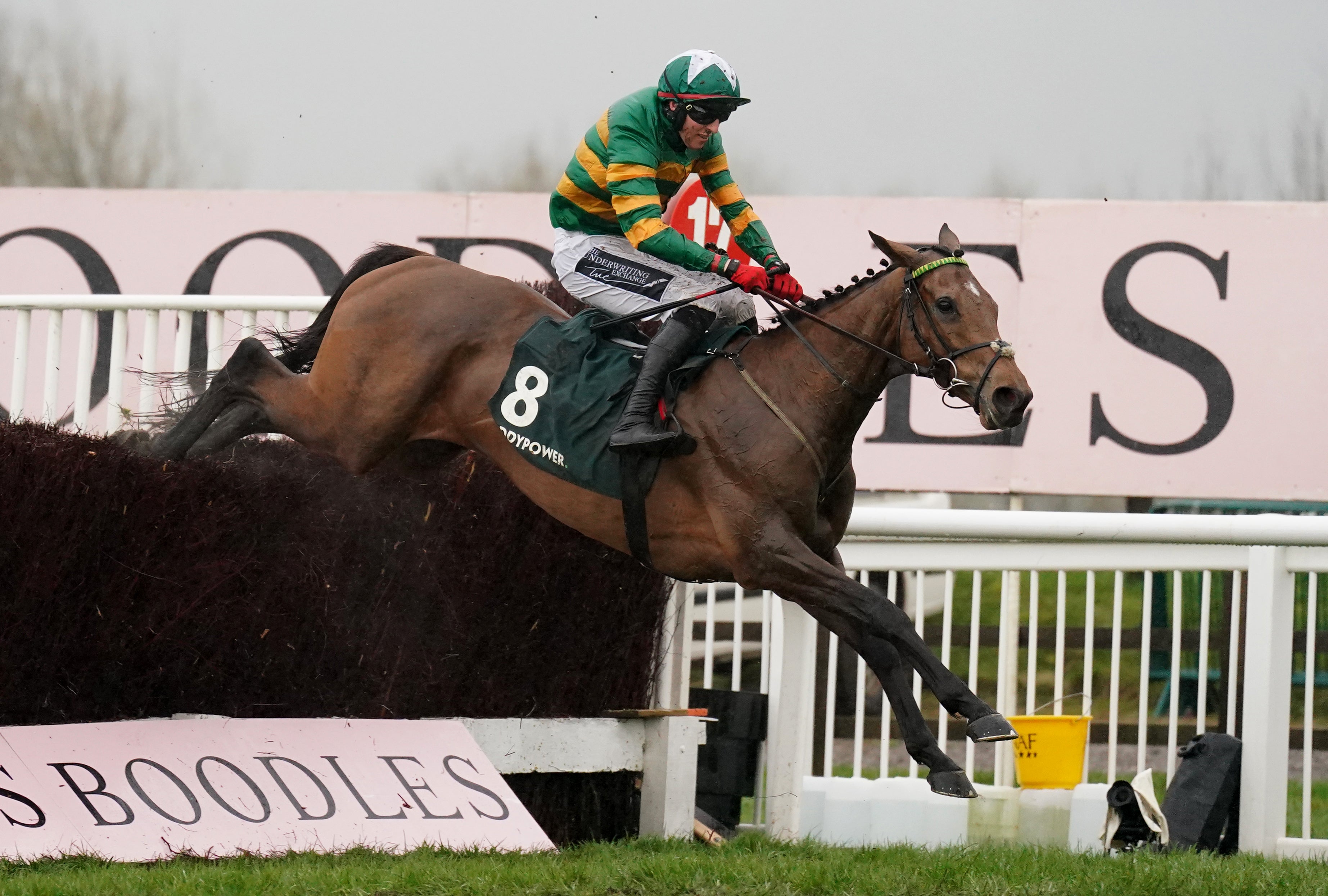 Cheltenham Mares’ Chase winner Limerick Lace is one of many contenders that could challenge Corach Rambler